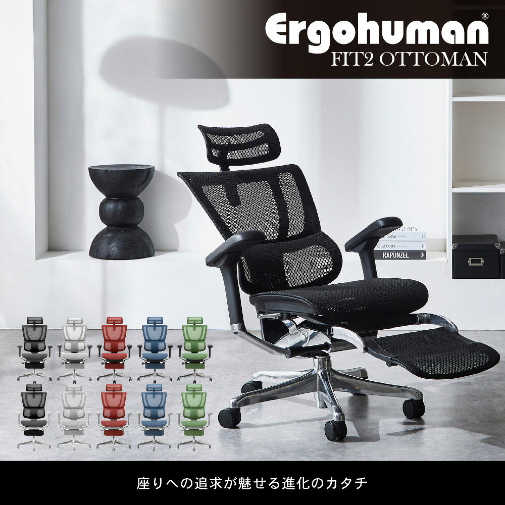 【P5倍1/20 13-15時&最大1万円クーポン1/20】 オフィスチェア エルゴヒューマン フィット2 オットマン パソコンチェア 高機能チェア デスクチェア 椅子 肘付 おしゃれ 疲れにくい オフィス 在宅 FIT2-LPL-DR