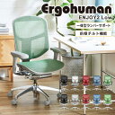 【最大1万円クーポン5/5】 エンジョイ Enjoy エルゴヒューマン Ergohuman オフィスチェア ヘッドレストなし 椅子 メッシュチェア パソコンチェア EJ2-LAM