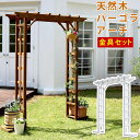 【最大1万円クーポン6/22-26】 アーチ 木製 ガーデン 金具 セット パーゴラ ガーデニング 棚 ガーデンアーチ 藤棚 パーゴラアーチ フラワーアーチ バ...