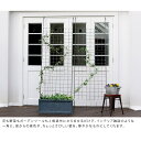 look-it:10663742のサンプル画像2