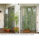 look-it:10663742のサンプル画像3