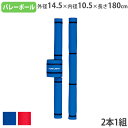 【P3倍5/1 13-15時&最大1万円クーポン5/1～7】 【法人限定】 バレーポールカバー 2本1組 ベルト式 支柱カバー 衝撃緩和用 安全対策 ポールカバー バレーボール 体育用品 トーエイライト B2049 B-2049