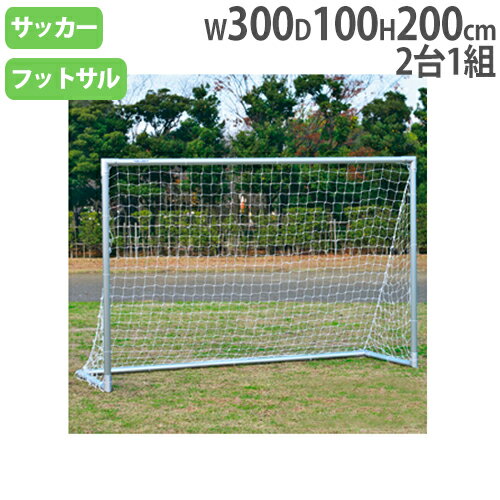 【法人限定】 フットサルゴール 高さ200×幅300cm アルミ製 フットサル用品 ゴール ネット付 サッカーチーム 部活動 トーエイライト B2260 B-2260