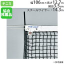 硬式テニスネット 上部ダブルネット サイドポール付 日本テニス協会推薦品 テニス用品 ネット テニス用 トーエイライト B2285 B-2285