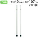 【P5倍5/5 13-15時&最大1万円クーポン5/5】 テニスシングルコート用補助ポール 2本1組 コート保護ゴム付 アルミ製スティック アルミシングルス・ス...