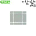 【法人限定】 キャッチネット 跳ね返り防止ネット 2枚1組 白 ハンドボール用品 試合用品 スポーツ用品 体育用品 キャッチネット トーエイライト B2669 B-2669