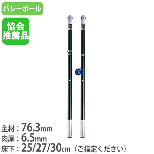 【P5倍5/10 13-15時&最大1万円クーポン5/9~16】 【法人限定】 バレー支柱 2本1組 専用ネット巻付 日本バレーボール協会推薦品 ネット支柱 バレーボール用品 バレー支柱カーボン トーエイライト B2938 B-2938