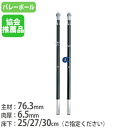 【P5倍5/5 13-15時&最大1万円クーポン5/5】 【法人限定】 バレー支柱 2本1組 専用ネット巻付 日本バレーボール協会推薦品 ネット支柱 バレーボー...