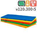 【P5倍6/15 13-15時&最大1万円クーポン6/15】 【法人限定】体操マット 120×300×5cm エコカラー合成スポンジマット 体育マット エバーマ...
