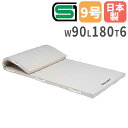 【P5倍6/15 13-15時&最大1万円クーポン6/15】 【法人限定】体操マット 6cm厚 9号帆布 90×180×6cm コンビネーションマット 体育マッ...