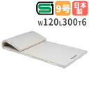 【P5倍5/25 13-15時&最大1万円クーポン5/23-26】 【法人限定】体操マット 6cm厚 9号帆布 120×300×6cm コンビネーションマット ...