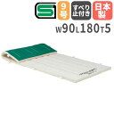 【SS限定P5倍6/10 13-15時&最大1万円クーポン6/3-10】 【法人限定】体操マット 滑り止め付き 5cm厚 9号帆布 90×180×5cm 指導ラ...