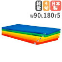 【法人限定】体操マット 90×180×5cm 軽量エコカラーマット 体育マット エバーマット トーエイライト クッション 学校 教育施設 体育館 T1938 T...