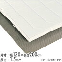 【P5倍5/5 13-15時&最大1万円クーポン5/5】 【法人限定】ストップシート 幅120cm 長さ200cm スベリ止めシート 滑り止め すべり止め マッ...