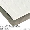 【P5倍5/25 13-15時&最大1万円クーポン5/23-26】 【法人限定】ストップシート 幅120×長さ300cm スベリ止めシート 滑り止め 幅120c...