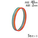 【P5倍15日13-15時&最大6万円クーポン】 【法人限定】体操リング 5色1組 新体操 フラフープ リング レクリエーション 障害物競争 遊具 抗菌 体操教室 幼児教室 トーエイライト T2306 T-2306