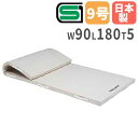 【SS限定P5倍6/5 13-15時&最大1万円クーポン6/3-10】 【法人限定】体操マット 5cm厚 9号帆布 90×180×5cm コンビネーションマット...