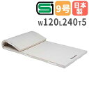 【SS限定P5倍6/5 13-15時&最大1万円クーポン6/3-10】 【法人限定】体操マット 5cm厚 9号帆布 120×240×5cm コンビネーションマッ...