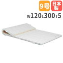 【法人限定】体操マット 5cm厚 9号帆布 120×300×5cm 合成スポンジマット 体育マット エバーマット トーエイライト クッション 学校 T2459 T-2459(4)