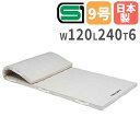 【法人限定】体操マット 6cm厚 9号帆布 120×240×6cm 合成スポンジマット 体育マット トーエイライト SGマーク付き クッション 学校 T2611 T-2611