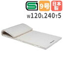 【SS限定P5倍6/5 13-15時&最大1万円クーポン6/3-10】 【法人限定】体操マット 5cm厚 9号帆布 120×240×5cm 合成スポンジマット ...