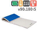 【SS限定P5倍6/5 13-15時&最大1万円クーポン6/3-10】 【法人限定】体操マット 抗菌 5cm厚 9号帆布 すべり止め付き 90×180×5cm ...