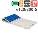 【法人限定】体操マット 抗菌 5cm厚 9号帆布 すべり止め付き 120×300×5cm 合成スポンジマット エバーマット トーエイライト SGマーク付き T2708 T-2708(4)