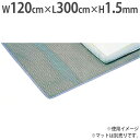 【法人限定】ストップシート 幅120×長さ300cm スベリ止めシート マット用滑り止め 体操マット 体育用品 器械体操 体育用具 トーエイライト T2728 T-2728