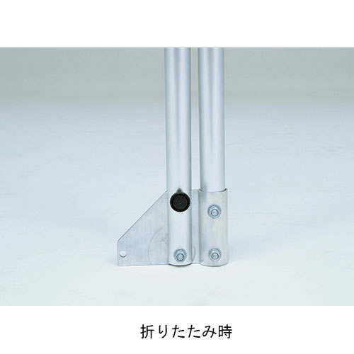 ��P5��3/25 13-15��&����1���ߥ����ݥ�3/20-25�� ��ˡ�͸���ۥեåȥ��르���� 2��1�� �ͥå��� �ޤ���� ������ ���⥴���� ����� ���å��� �եåȥ��� �ع� ���� ���饦��� �ȡ������饤�� B2827 B-2827