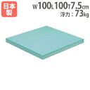 【法人限定】ロングビート1000 幅100×長さ100×厚さ7.5cm フロート シボ加工 水泳練習用品 大型ビート板 水泳 プール トーエイライト B3081 B-3081