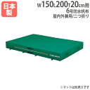 【P5倍7/20 13-15時&最大1万円クーポン7/19-25】 【法人限定】G1217用交換カバー 幅150×長さ200×厚さ20cm用 オプション 交換袋用 交換用カバー 体操マット トーエイライト G1217A G-1217A