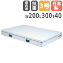 【P5倍5/5 13-15時&最大1万円クーポン5/5】 【法人限定】防炎・抗菌エバーマット 幅200×長さ300×厚さ40cm セーフティーマット 体操マット...