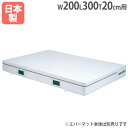 【法人限定】G1457用交換カバー 幅200×長さ300×厚さ20cm用 オプション 防炎・抗菌タイプ用 交換用カバー トーエイライト G1457A G-145...
