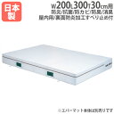 【P5倍7/20 13-15時&最大1万円クーポン7/19-25】 【法人限定】G1458用交換カバー 幅200×長さ300×厚さ30cm用 オプション 防炎・...