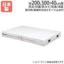 【P3倍6/1 13-15時&最大1万円クーポン6/1】 【法人限定】G1489用交換カバー 幅200×長さ300×厚さ40cm用 二つ折りエバーマット用 屋内...