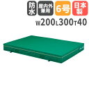 【SS限定P5倍6/10 13-15時&最大1万円クーポン6/3-10】 【法人限定】屋内外兼用エバーマット 幅200×長さ300×厚さ40cm セーフティーマ...