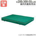 【P3倍6/1 13-15時&最大1万円クーポン6/1】 【法人限定】G1543用交換カバー 幅200×長さ300×厚さ50cm用 オプション 防炎・抗菌タイプ...
