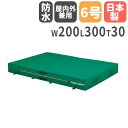 【法人限定】屋内外兼用エバーマット 二つ折り 幅200×長さ300×厚さ30cm セーフティーマット 体操マット 陸上マット 陸上競技 トーエイライト G154...