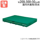 【P5倍5/25 13-15時&最大1万円クーポン5/23-26】 【法人限定】G1544用交換カバー 幅200×長さ300×厚さ30cm オプション 交換袋用...