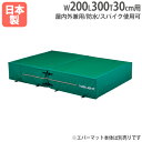【SS限定P5倍6/10 13-15時&最大1万円クーポン6/3-10】 【法人限定】G1554用交換カバー 幅200×長さ300×厚さ30cm用 オプション ...