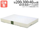 【P5倍6/15 13-15時&最大1万円クーポン6/15】 【法人限定】G1654用交換カバー 幅200×長さ300×厚さ40cm用 オプション エバーマット...