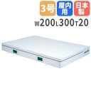【法人限定】エバーマット 幅200×長さ300×厚さ20cm 屋内用 一枚物 セーフティーマット 体操マット 体育館 体操 体操教室 床運動 トーエイライト G...