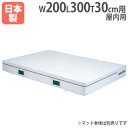 【SS限定P5倍6/10 13-15時&最大1万円クーポン6/3-10】 【法人限定】G2012用交換カバー 幅200×長さ300×厚さ30cm用 オプション ...