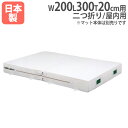 【SS限定P5倍6/10 13-15時&最大1万円クーポン6/3-10】 【法人限定】G2015用交換カバー 幅200×長さ300×厚さ20cm用 オプション ...