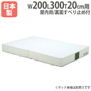 【SS限定P5倍6/10 13-15時&最大1万円クーポン6/3-10】 【法人限定】G2025用交換カバー 幅200×長さ300×厚さ20cm用 オプション ...