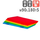 【法人限定】スポーツ高反発マット 幅90×長さ180×厚さ5cm 取手付き マット運動 床運動 体育 トーエイライト T1769 T-1769