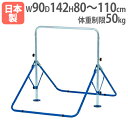 【P5倍5/5 13-15時&最大1万円クーポン5/5】 【法人限定】折りたたみ一人用鉄棒DX 幼児 低学年向け 安全配慮設計 鉄棒 移動式鉄棒 体育用品 幼稚...