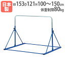 【P5倍5/5 13-15時&最大1万円クーポン5/5】 【法人限定】移動式鉄棒二人用 屋内外兼用 鉄棒 置き型鉄棒 体育 体育用品 スポーツ施設 運動施設 教...