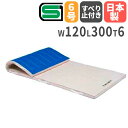 【法人限定】 体育マット 抗菌マット 幅120×長さ300×厚さ6cm SG基準認証品 体育 体操マット 6cm厚(6号帆布)すべり止め付 トーエイライト T1...
