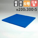 【P5倍5/5 13-15時&最大1万円クーポン5/5】 【法人限定】二つ折り投込み練習マット 2×3 幅200×長さ300×厚さ5cm 柔道用マット 投げ込み...